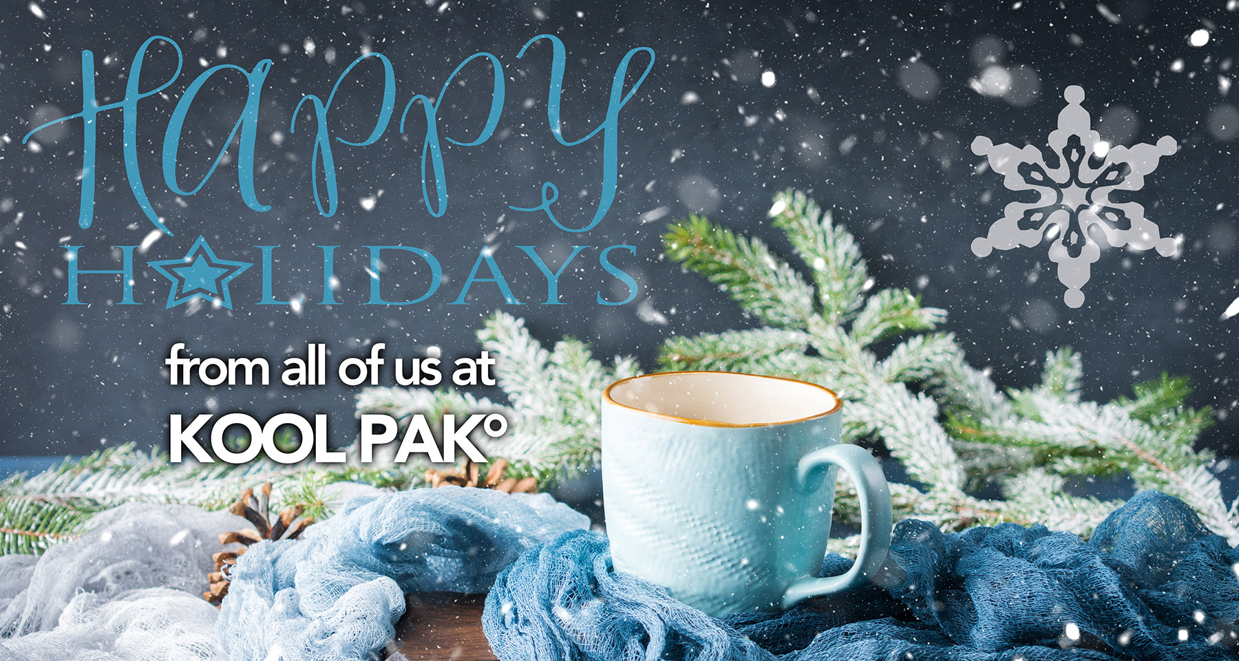 happy holidays from all of us at kool pak°